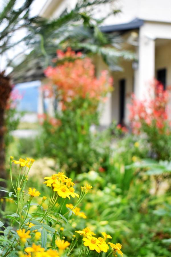 Rural Scenery Villa Taitung Екстериор снимка